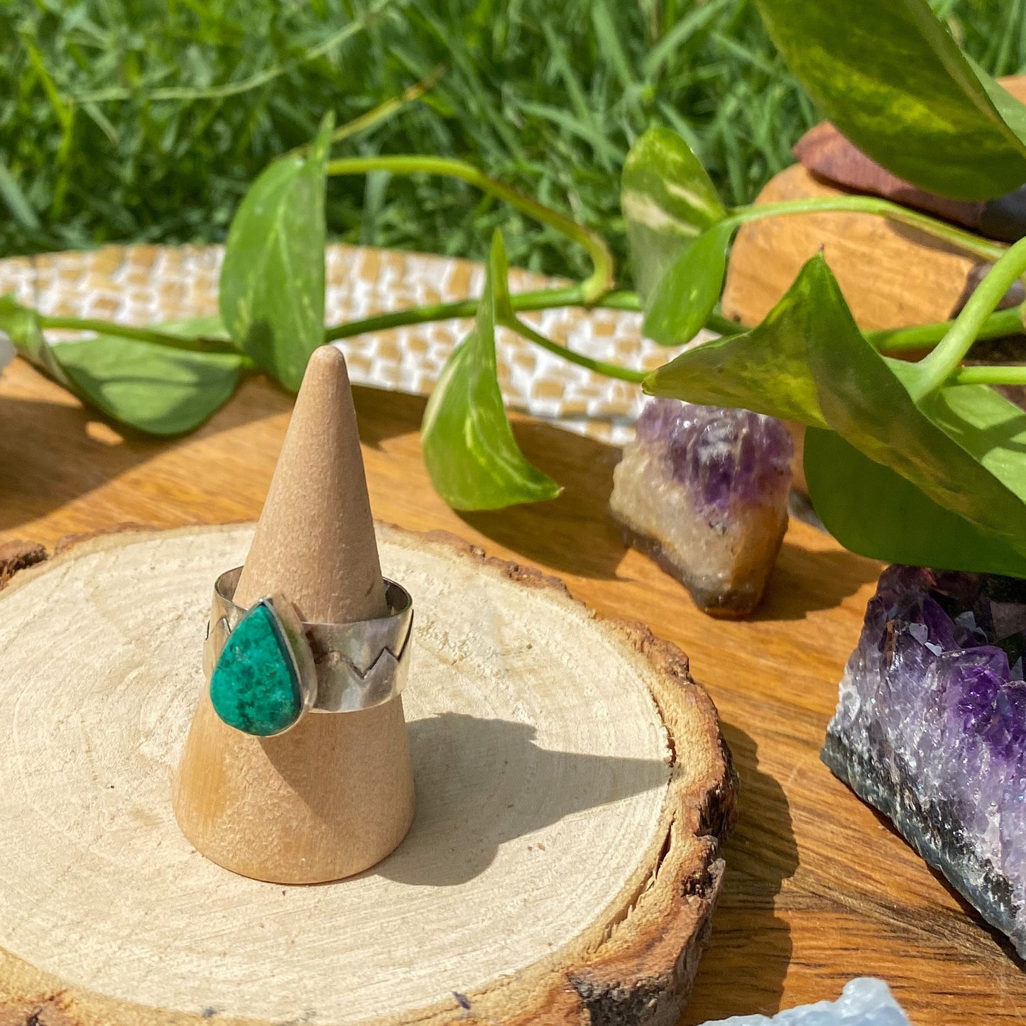 Anillo PUNO