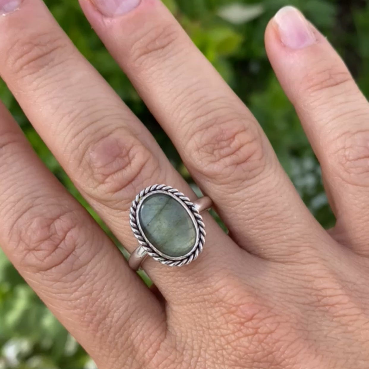 Anillo CAMDEM